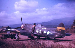 P47_Alto